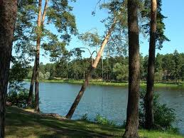 Семейный отдых Семейный отдых