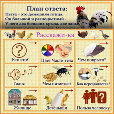 Карточки для составление рассказов