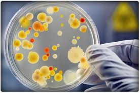 Синдром иммунодефицита у детей Синдром иммунодефицита у детей