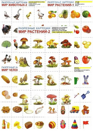 Разрезные, предметные, карточки. Разрезные, предметные, карточки.