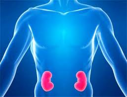 Когда возникает олигурия?