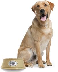 Правильный корм для собак Правильный корм для собак