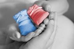 Определение пола ребенка Определение пола ребенка