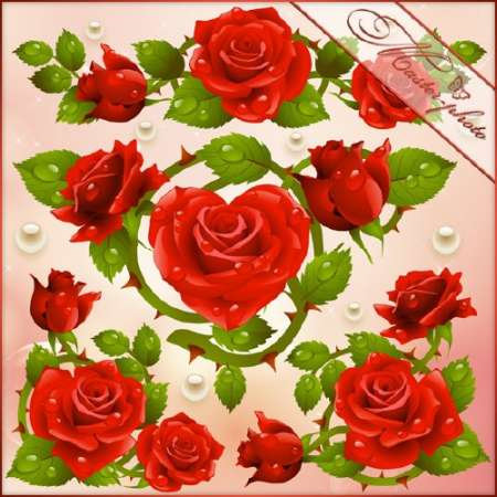 PSD исходник для фотошопа - Рай из роз