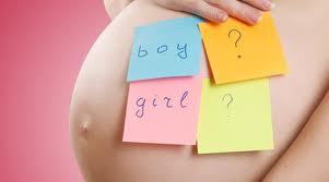 Определение пола будущего ребенка Определение пола будущего ребенка