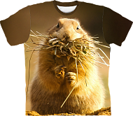 Детские 3d футболки