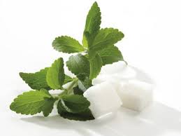 Стевия Стевия