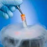 Криоконсервация эмбрионов