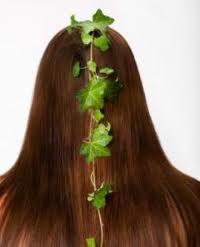 Себорея кожи головы Себорея кожи головы