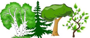 Занимаемся развитием ребенка: загадки Занимаемся развитием ребенка: загадки