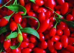 Ягоды годжи Ягоды годжи