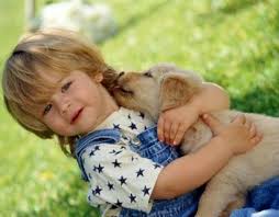 Как привить ребенку любовь к животным? Как привить ребенку любовь к животным?