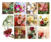 Бабочки и цветы для творчества и декупажа