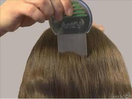 Преимущества и недостатки различных способов борьбы с педикулезом Преимущества и недостатки различных способов борьбы с педикулезом