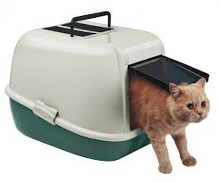 Зоотовары: всё для кошек