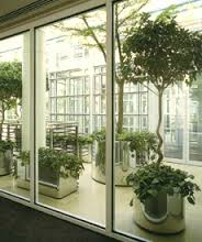 Какой магазин выбрать для покупки цветов