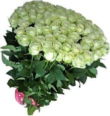 Какие цветы подарить?