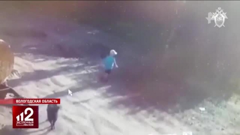 Пропавшего под Вологдой мальчика нашли сильно замерзшим в лесу