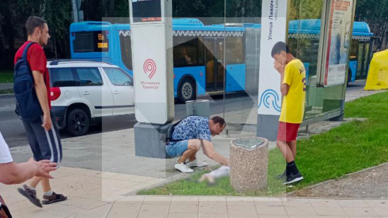 Сбивший насмерть семилетнего ребенка в Москве водитель был пьян