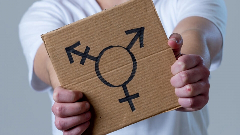 В лагере в США небинарным вожатым разрешили спать в домике девочек