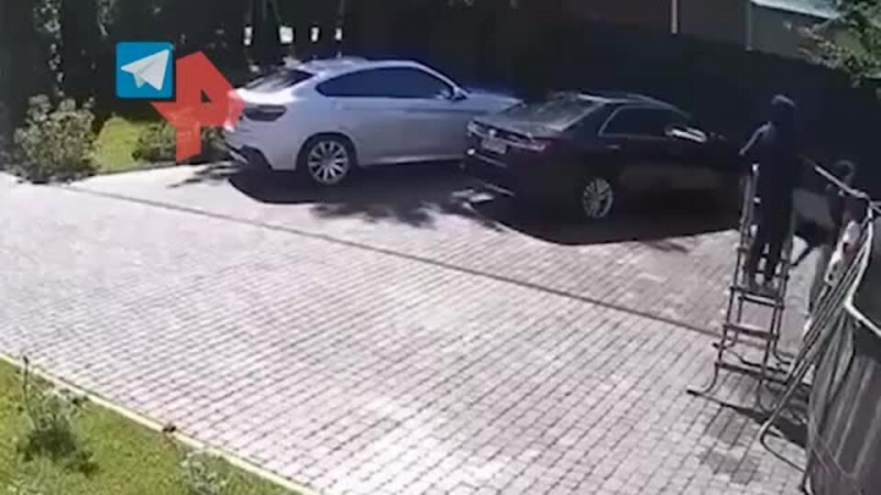 Жители деревни заявили, что напавшая на ребенка обезьяна уже сбегала